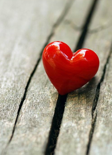 貿(mào)互動(dòng)·七夕為愛發(fā)聲