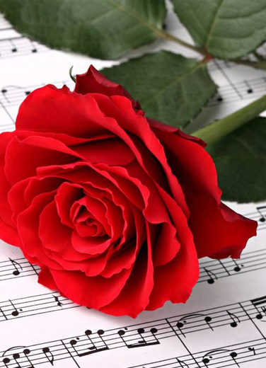 “一起趣愛”深情歌會